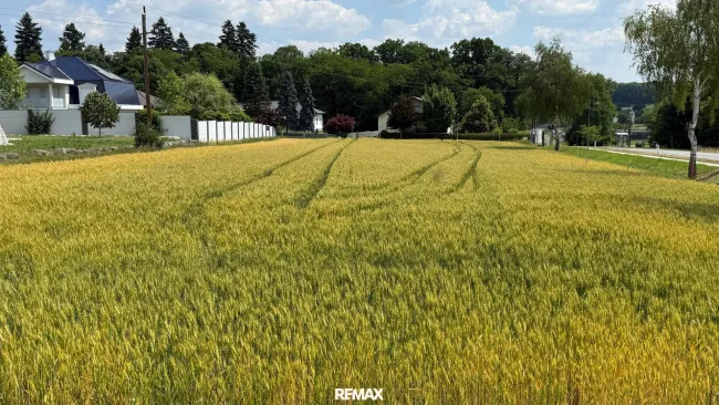 Grundstück
