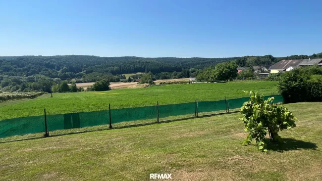 Ausblick