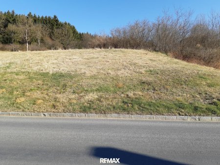 Straßenansicht frontal
