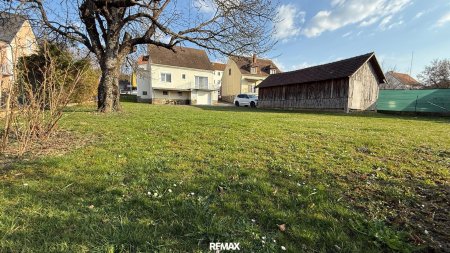 Frühling im Garten