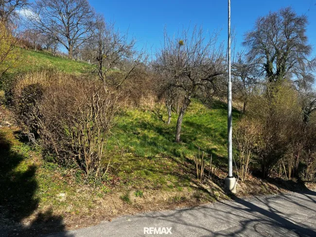Obere Hanglage