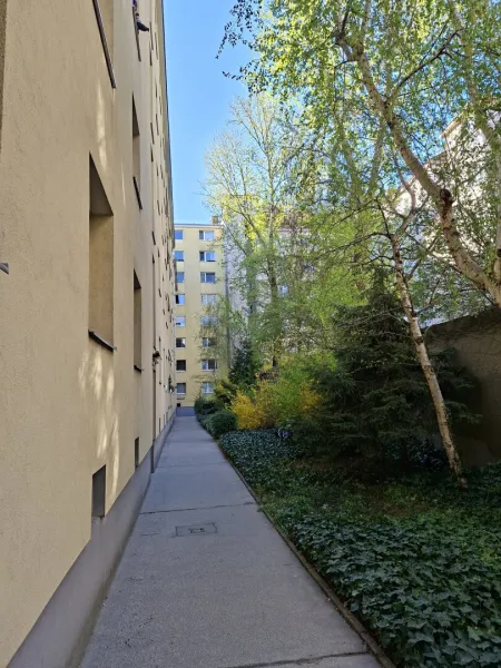 Ruhelage - Hinterhof