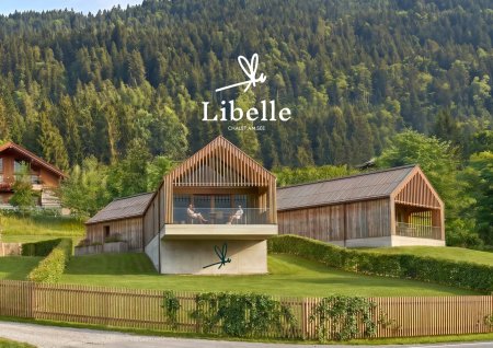 Aufwachen am Weißensee – Chalet mit 101,99 m² Wohnfläche, 195 m² Garten & eigenem Seezugang