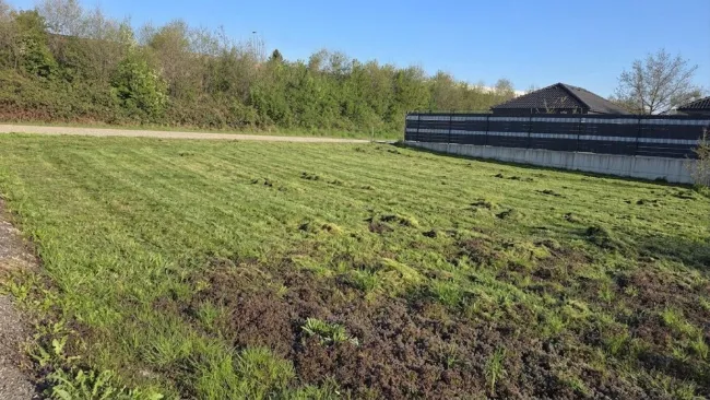 teilbares Baugrundstück ohne Bauzwang - Bild