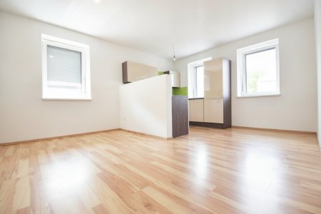 3-Zimmer Wohnung mit Gartenbenutzung zu vermieten