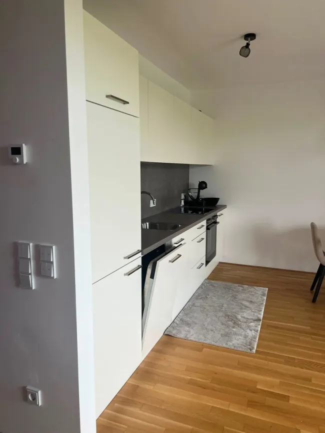 Wohnen in Wels - 2 Zimmerwohnung mit BALKON - Bild