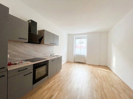 Schöne neu sanierte 2,5 - Zimmer Wohnung in LINZ URFAHR ab 01.08.2026 verfügbar