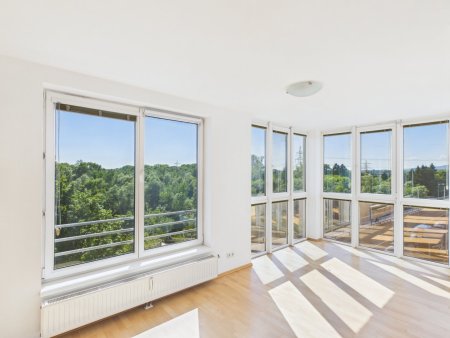 Großzügiges Wohnen mit Traunblick – 211 m² Wohnqualität in Ebelsberg