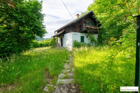Sommerhäuschen "ERIKA" am Keutschacher See - 10 Gehminuten vom See entfernt - 1000 m² Baugrund