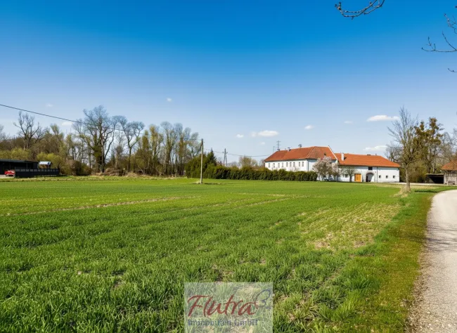 Baugrund in Top Lage in Marchtrenk sucht Anleger bzw. Bauträger - mind. 1500 und max. 6000 m² - Widmung Wohngebiet - Bild