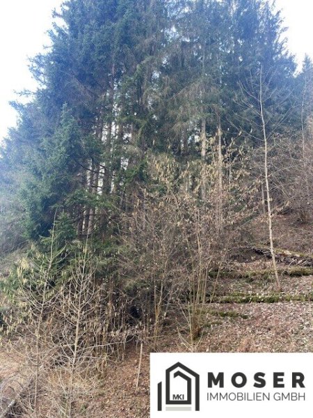 5,2 ha Wald & landwirtschaftliche Nutzfläche nähe Murau zu verkaufen