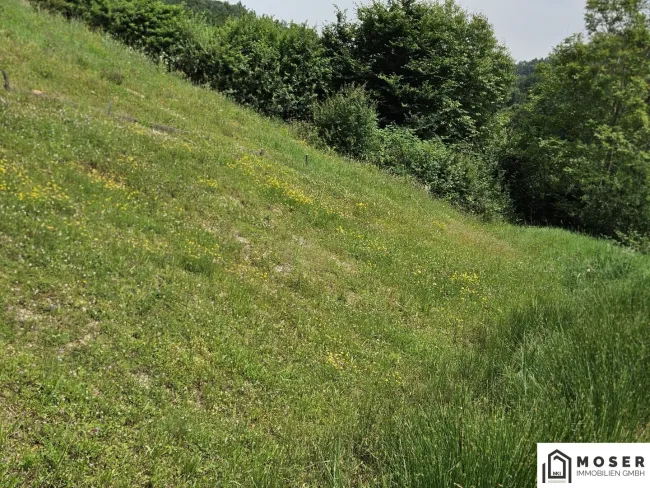 +++ Top Lage!!!!!! 2 Baugrundstücke in Hart bei Graz ++ - Bild