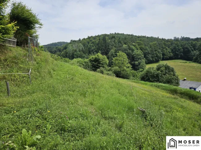+++ Top Lage!!!!!! 2 Baugrundstücke in Hart bei Graz ++ - Bild