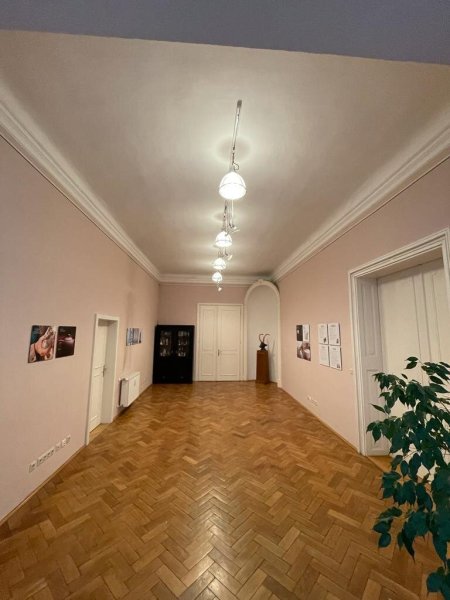 Büro- und Ordinationsfläche im Stilaltbau in Geidorf / Univiertel