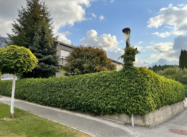 Mils: Sonniges Eckreihenhaus auf ca. 282 m² Grundstück mit großem Garten nahe Innsbruck - Titelbild