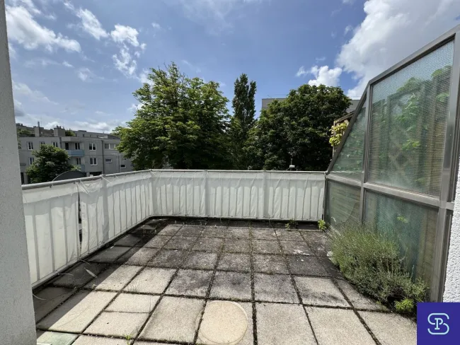 Terrasse 1