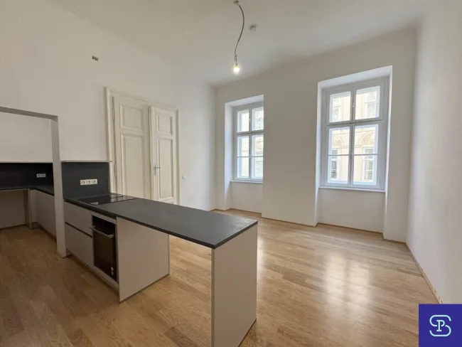 Provisionsfrei: Ruhiger 150m² Erstbezug mit 4 Zimmern + Balkon in Toplage - 1080 Wien - Titelbild