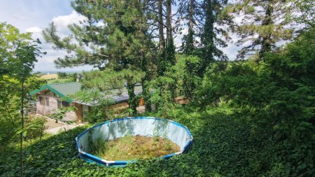 Pool im Garten