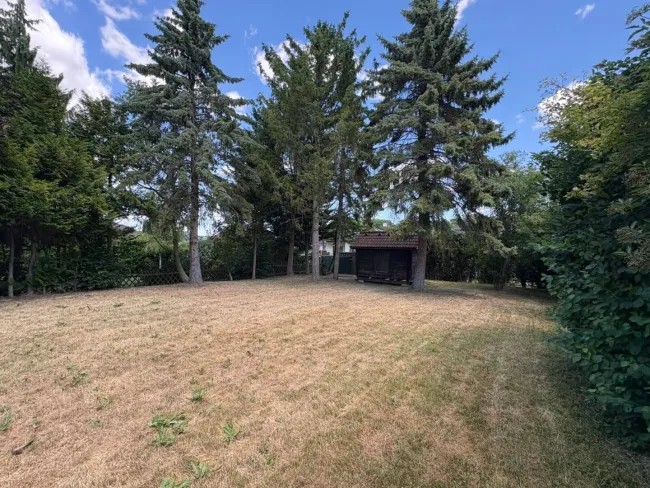 Garten mit Baumbestand