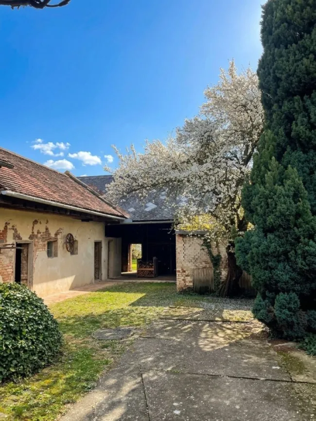 Preiswertes Bauernhaus in Patzmannsdorf – ideal für Selbstverwirklicher! - Titelbild