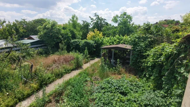 Garten (Mitte)
