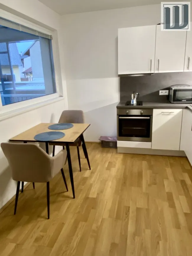 Charmante Gartenwohnung 33m² in Leobersdorf mit Terrasse, Garage & Fußbodenheizung! - Bild