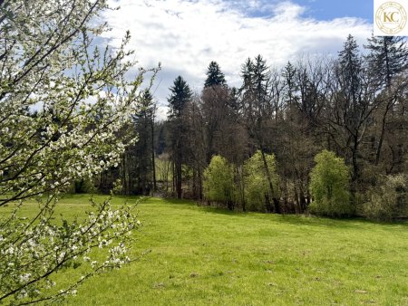 Traumhaftes Grundstück in Graz-Andritz – Investitionschance mit hohem Wertsteigerungspotenzial