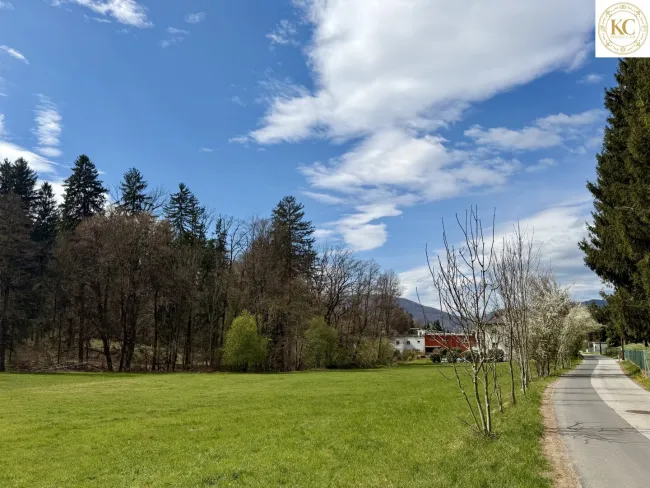 Traumhaftes Grundstück in Graz-Andritz – Investitionschance mit hohem Wertsteigerungspotenzial - Titelbild