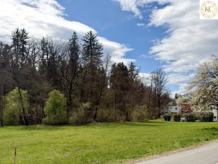 Traumhaftes Grundstück in Graz-Andritz – Investitionschance mit hohem Wertsteigerungspotenzial