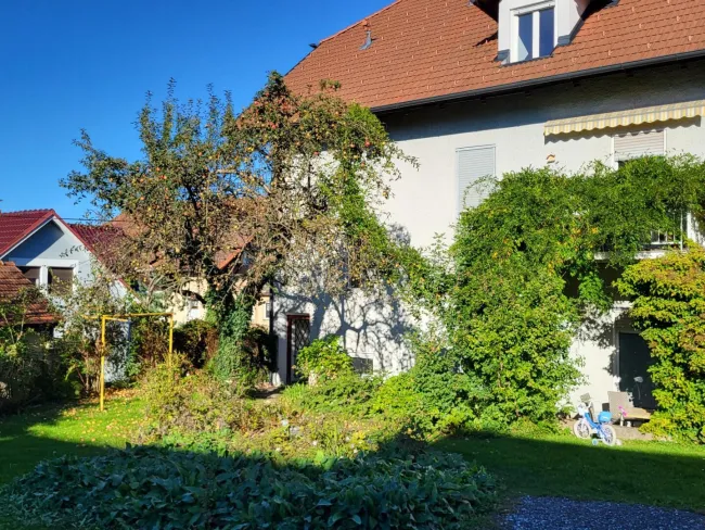 Gemeinschaftsgarten