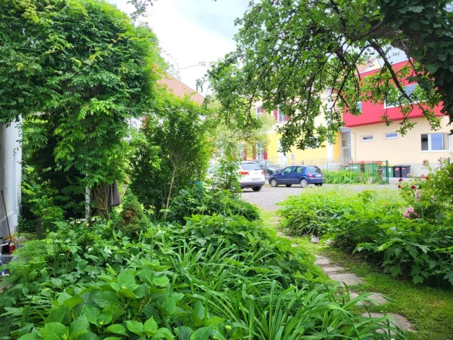 Gemeinschaftsgarten