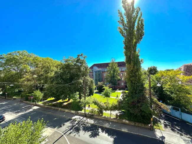 Park - Aussicht
