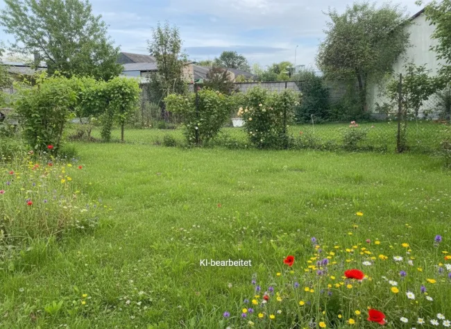 Gols: kleines Baugrundstück in ruhiger Lage (Bauland Mischgebiet) - Titelbild