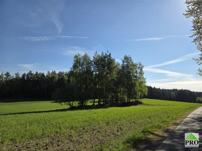 Großer Bauernhof in Haugschlag, 7 Zimmer, Balkon, Garage – Natur pur zum Top-Preis! - Bild