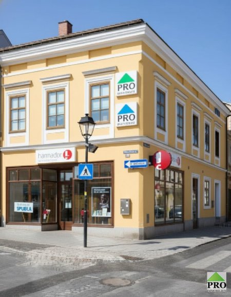Share Deal möglich! Übernehmen Sie eine Besitzgesellschaft mit 5 Zinshäusern und einem Grundstück mitten in Waidhofen an der Thaya (Waldviertel) 5 Stadthäuser (1 davon saniert & vermietet), 4 davon zu Sanieren - Anleger aufgepasst!