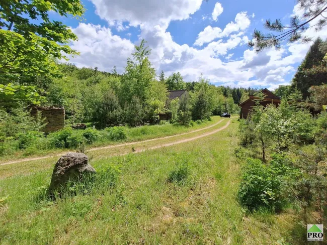 Wald (18)