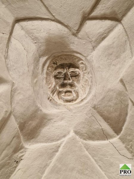 Einzigartiges Bürgerhaus direkt in Waidhofen an der Thaya (Waldviertel) zu sanieren inkl. Sanierungsvorschläge!