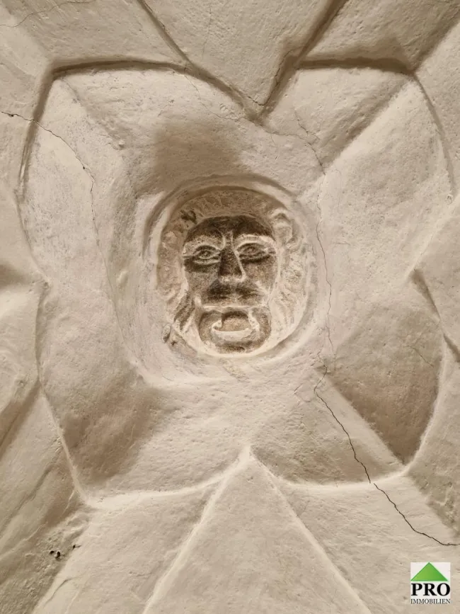 Einzigartiges Bürgerhaus direkt in Waidhofen an der Thaya (Waldviertel) zu sanieren inkl. Sanierungsvorschläge! - Bild