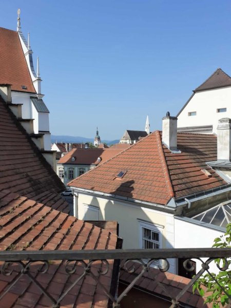 Spätgotischer Bau 15 Jhd im Zentrum Krems, 169m² mit Balkon, Terrasse und 1000 Jahre altem Weinkeller