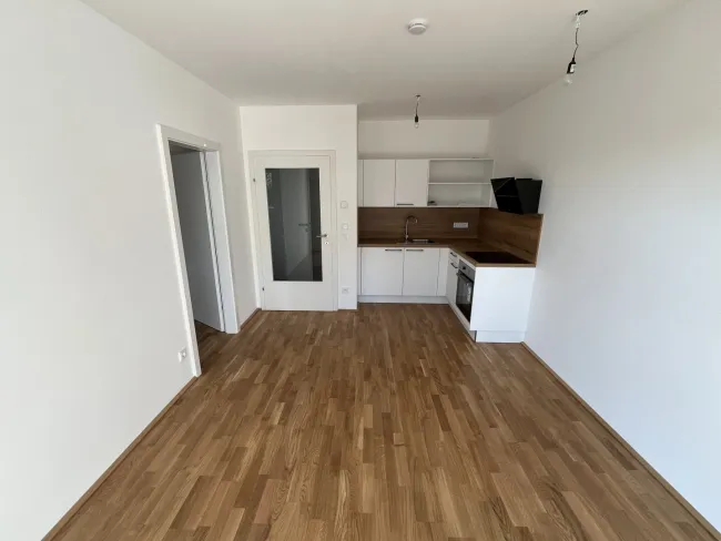Kochen / Essen / Wohnen