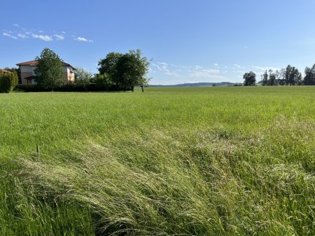 Traumhaft sonnige Baugrundstücke, voll aufgeschlossen & ohne Bauzwang in Pramet