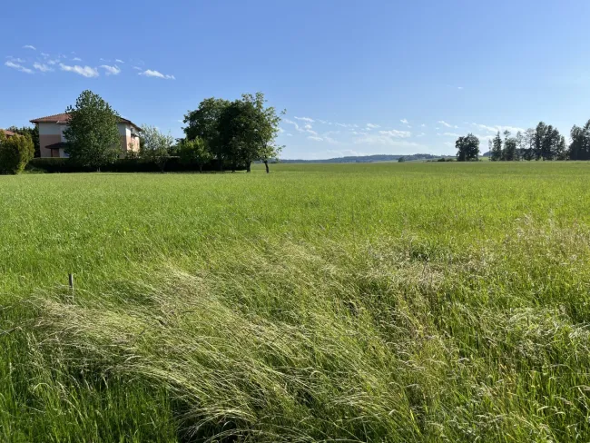 Traumhaft sonnige Baugrundstücke, voll aufgeschlossen & ohne Bauzwang in Pramet - Titelbild