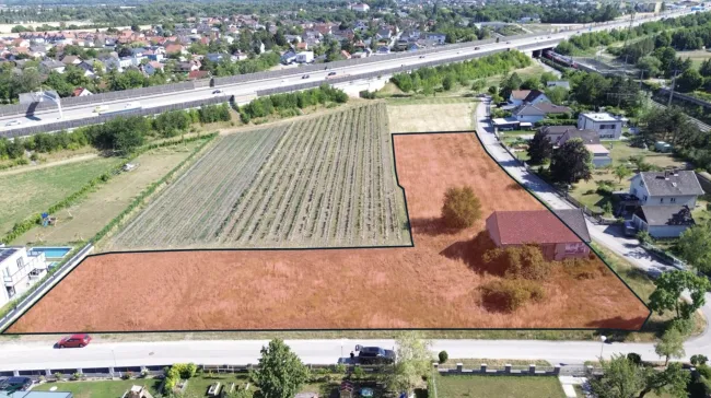 Großes Baugrundstück 5.129m² in Bad Vöslau – Bauträgergelegenheit - Bild