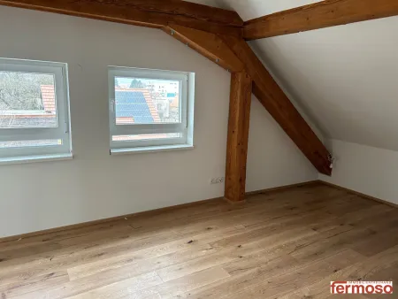 Dachoase- Penthouse Wohnung in Graz