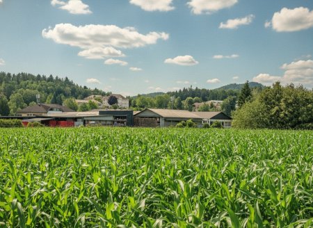 Premium-Gewerbestandort Klagenfurt Nord – 5.075 m² Entwicklungsfläche mit möglicher Vergrößerung auf ca. 10.000 m² zu kaufen!