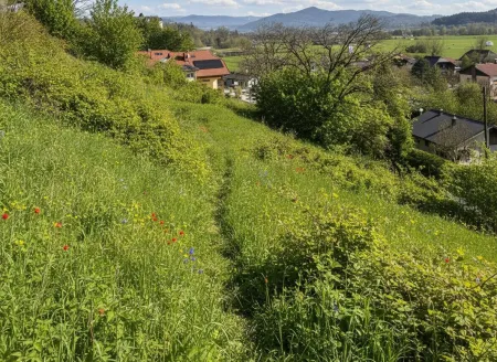 Tultschnig / Klagenfurt - großzügiges Baugrundstück in Grünruhelage mit Panoramablick!