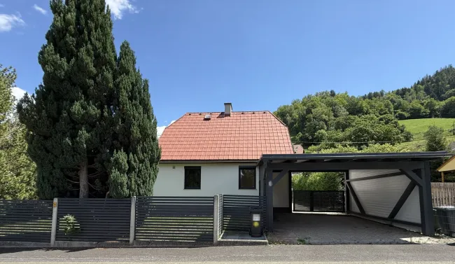Charmantes Wohnhaus mit Nebengebäude, Gartenhaus und Carport! - Titelbild