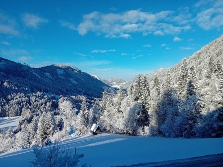 Rückzugsort mit Mehrwert: Charmantes Eigenheim mit Wellness-Oase, Remise und exklusivem Trainingsbereich für Sportschützen