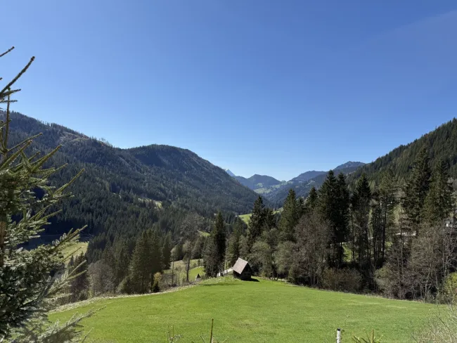 Rückzugsort mit Mehrwert: Charmantes Eigenheim mit Wellness-Oase, Remise und exklusivem Trainingsbereich für Sportschützen - Bild