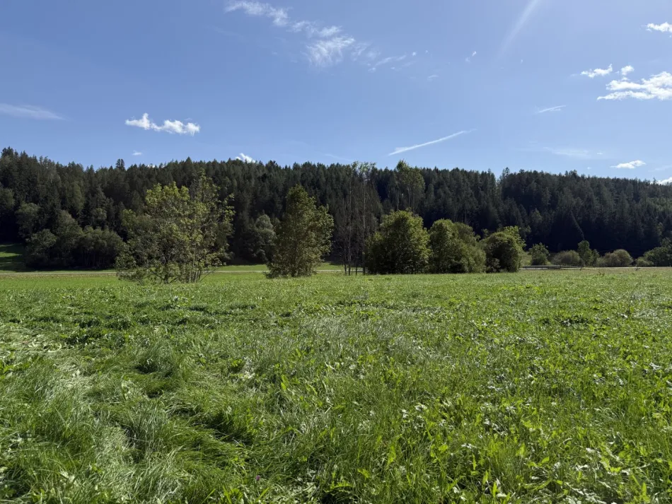 Baugrundstück nähe Schladming! - Bild